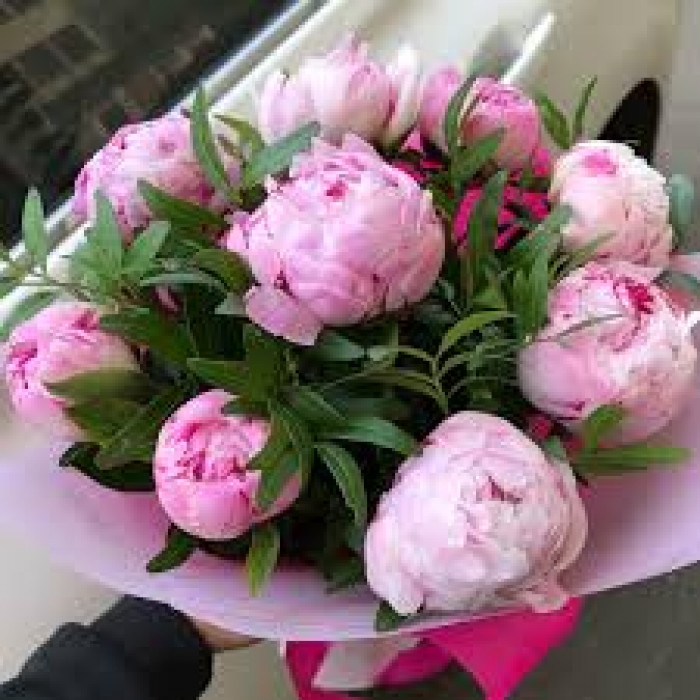 Пион древовидный в Талдыкоргане