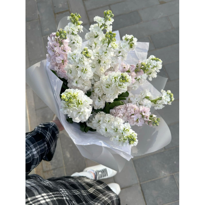 Маттиола в Талдыкоргане