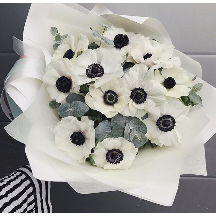 Анемоны в Талдыкоргане