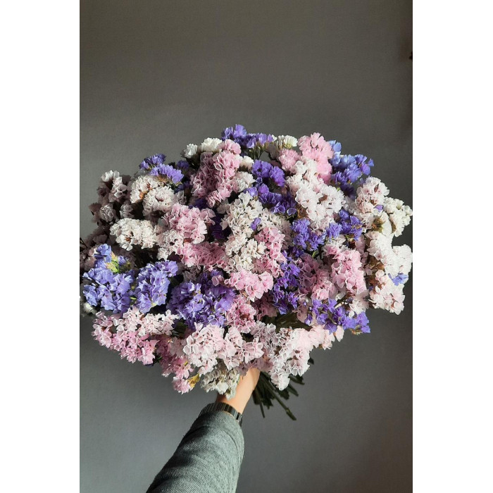 Статица (Лимониум) в Талдыкоргане