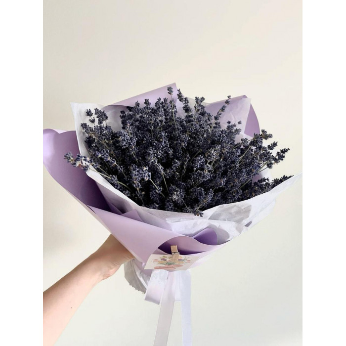 Лаванда в Талдыкоргане