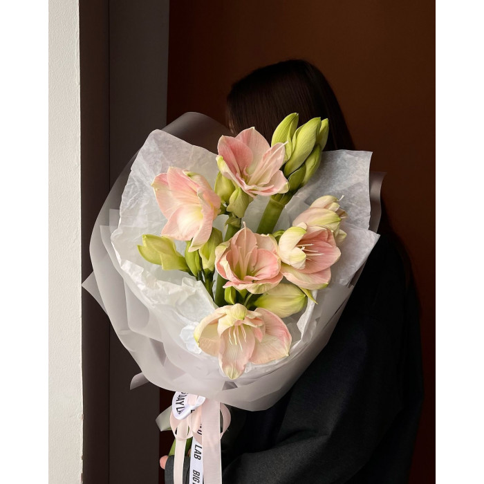 Амариллис в Талдыкоргане