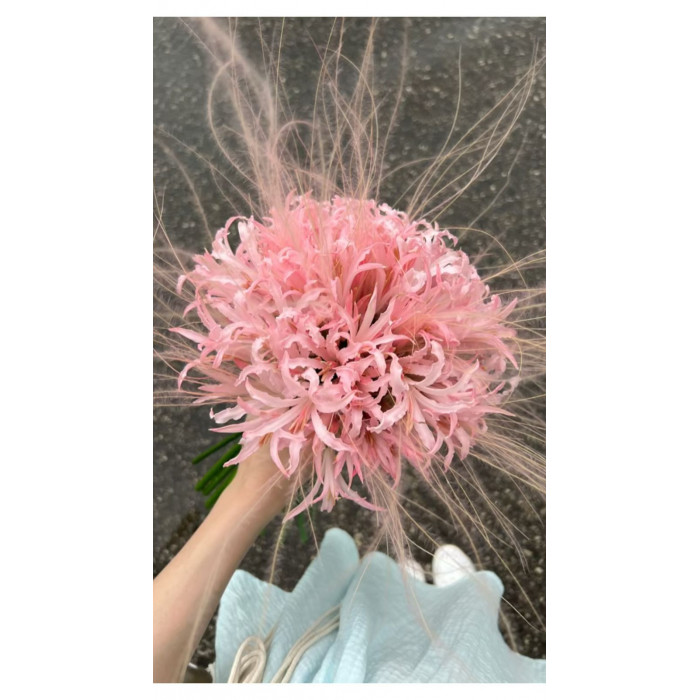 Нерине в Талдыкоргане