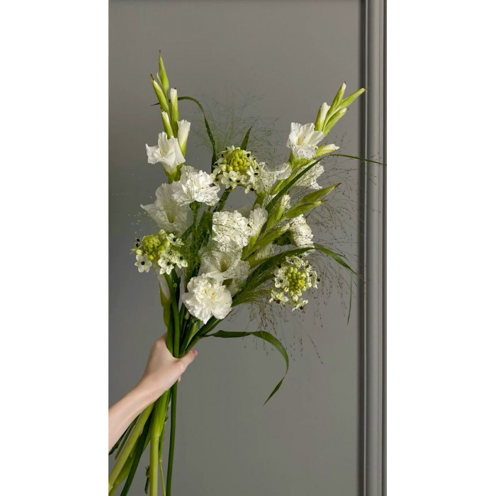 Орнитогалум в Талдыкоргане