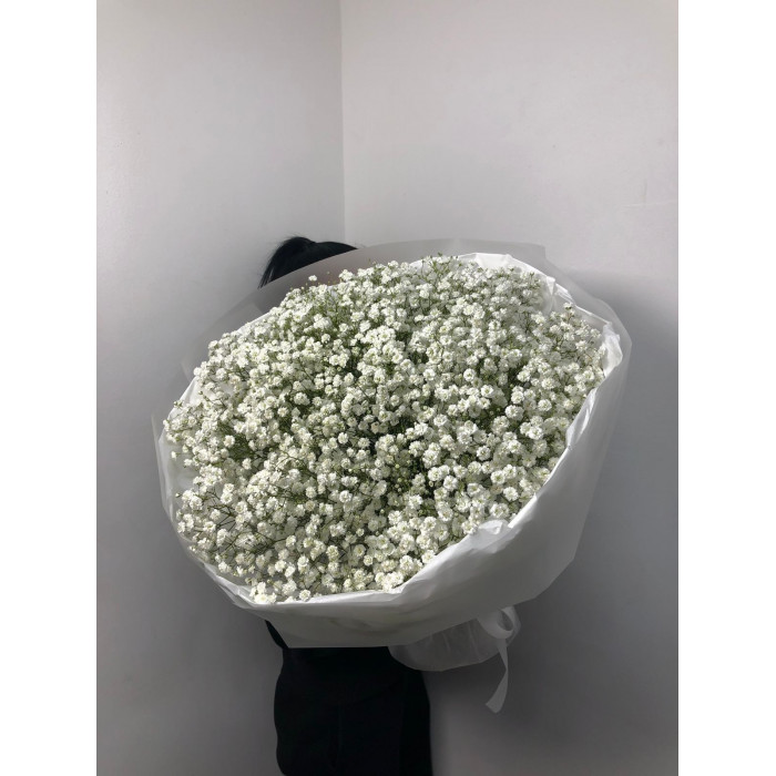 Гипсофила классическая в Талдыкоргане