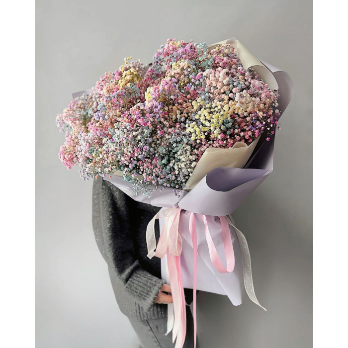 Гипсофила цветная в Талдыкоргане