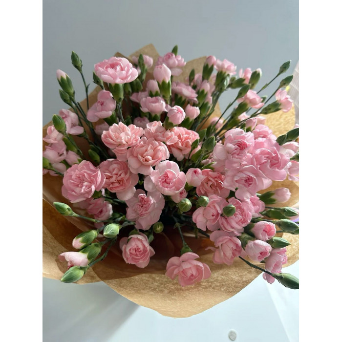 Кустовые гвоздики в Талдыкоргане