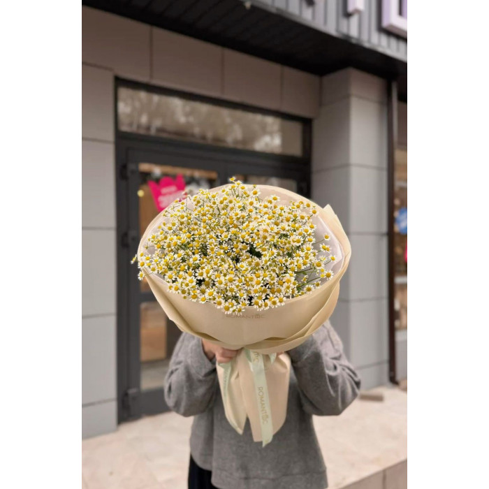 Танацетум в Талдыкоргане