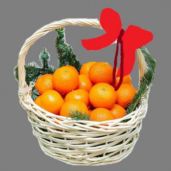  "Citrus" busket